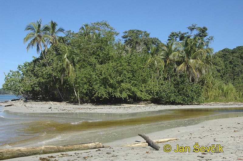 Photo of Pobřeží Karibiku, coast of the Caribean, National park Cahuita