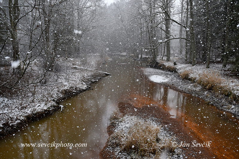Photo of sněžení Snowstorm Schneetreiben Stará řeka