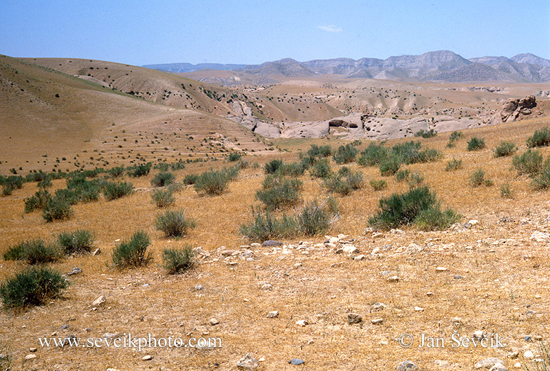 Photo of  poušť jižní Tadjikistan desert wuste