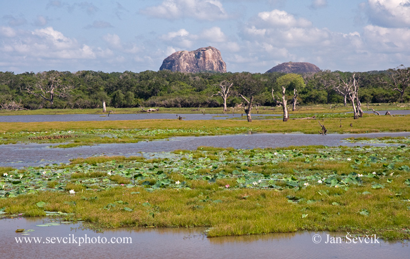 Photo of Národní park National Park Yala Sri Lanka