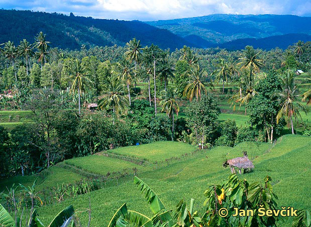Photo of severni Bali, nord of Bali.
