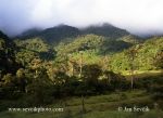 Photo of Centrální Kordiliery Cordilliera Cordiliera Cordillera mountains Panama