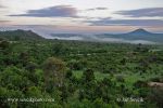 Photo of Národní park National Park Tsavo West Kenya Keňa