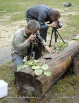 Photo of fotografové hmytu photographers of  insects hobby