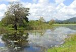 Photo of freshwater lake at Giritale Sri Lanka
