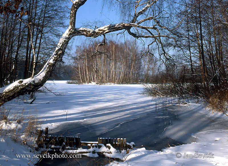Photo of rybník Žofinka Třeboňsko Fishpond Teich